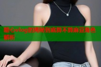 糖心vlog的揭秘到底算不算麻豆角色解析
